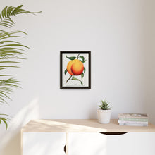 Foster peach lithograph. Digitally enhanced from our own original 1900 edition plates of Botanical Specimen published by Rochester Lithographing