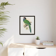 Lydon's Yellow-Naped Parrakeet | Vintage Bird Wall Art Print