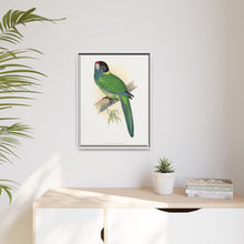 Lydon's Yellow-Naped Parrakeet | Vintage Bird Wall Art Print