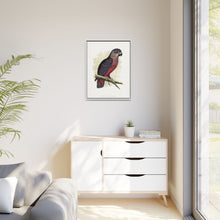 Dusky or Violet Parrot (Pionus fuscus) colored wood-engraved plate by Alexander Francis Lydon.
