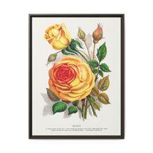 lithograph from Botanical Specimen published by Rochester Lithographing - NOMADEN ART GALLERY
