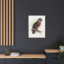 Dusky or Violet Parrot (Pionus fuscus) colored wood-engraved plate by Alexander Francis Lydon.