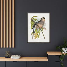 Bourke's Parrakeet (Neopsephotus bourkii) colored wood-engraved plate by Alexander Francis Lydon.