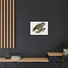 Red-Vented Parrot (Amazona martinicana) colored wood-engraved plate by Alexander Francis Lydon