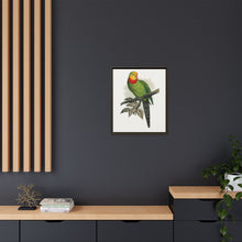 Barraband's Parakeet (Polytelis swainsonii) colored wood-engraved plate by Alexander Francis Lydon