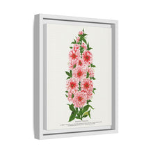 Prunus Triloba flower lithograph. Digitally enhanced from our own original 1900 edition plates of Botanical Specimen published by Rochester Lithographing