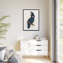 Great Black Cockatoo (Probosciger aterrimus) colored wood-engraved plate by Alexander Francis Lydon