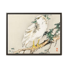 Northern mockingbird by Kōno Bairei (1844-1895) - NOMADEN ART GALLERY