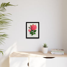 Pink rose, Anna De Diesbach lithograph. Digitally enhanced from our own original 1900 edition plates of Botanical Specimen published by Rochester Lithographing - NOMADEN ART GALLERY