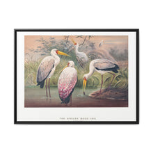 The African Wood Ibis from Zoological sketches (1861-1867) by Joseph Wolf and Philip Lutley Sclater - NOMADEN ART GALLERY