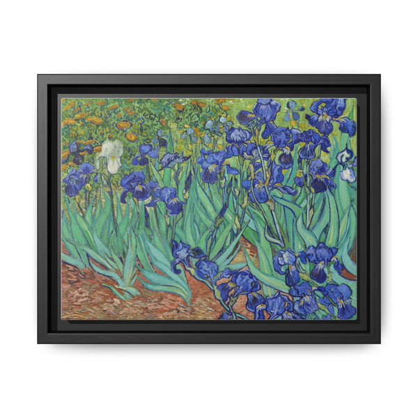 Vincent Van Gogh's Irises (1889). Famous painting, original from the J. Paul Getty Museum. - NOMADEN ART GALLERY