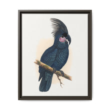 Great Black Cockatoo (Probosciger aterrimus) colored wood-engraved plate by Alexander Francis Lydon - NOMADEN ART GALLERY