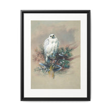 The Greenland Falcon from Zoological sketches (1861-1867) by Joseph Wolf and Philip Lutley Sclater - NOMADEN ART GALLERY