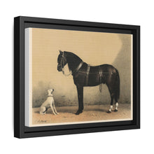 Orloffer (Orloff Horse) by Emil Volkers (1880) - An illustration of a black horse and a white dog - NOMADEN ART GALLERY