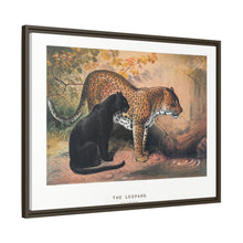 The Leopard from Zoological sketches (1861-1867) by Joseph Wolf and Philip Lutley Sclater