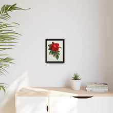 Red rose, Alfred Colomb lithograph. Digitally enhanced from our own original 1900 edition plates of Botanical Specimen published by Rochester Lithographing