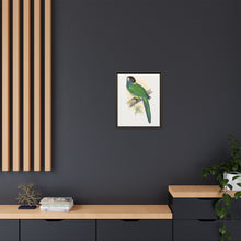 Lydon's Yellow-Naped Parrakeet | Vintage Bird Wall Art Print