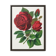 Red Rose, Prince Camille De Rohan Lithograph - NOMADEN ART GALLERY