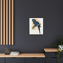 Hyacinthine Macaw (Anodorhynchus hyacinthinus) colored wood-engraved plate by Alexander Francis Lydon.