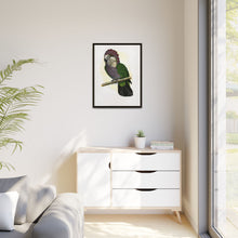Hawk-Headed Parrot (Deroptyus accipitrinus) colored wood-engraved plate by Alexander Francis Lydon.