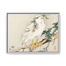 Northern mockingbird by Kōno Bairei (1844-1895) - NOMADEN ART GALLERY