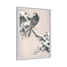 Goshawk on Snow-covered Pine Bough by Ohara Koson (1877–1945)