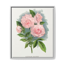 Pink rose, Clothilde Soupert lithograph. Digitally enhanced from our own original 1900 edition plates of Botanical Specimen published by Rochester Lithographing - NOMADEN ART GALLERY