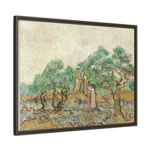 The Olive Orchard (1889) by Vincent van Gogh. Original from The National Gallery of Art. - NOMADEN ART GALLERY