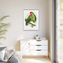 Rosy-Faced Love-Bird (Agapornis roseicollis) colored wood-engraved plate by Alexander Francis Lydon.