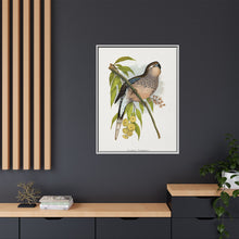 Bourke's Parrakeet (Neopsephotus bourkii) colored wood-engraved plate by Alexander Francis Lydon.