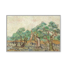 The Olive Orchard (1889) by Vincent van Gogh. Original from The National Gallery of Art. - NOMADEN ART GALLERY