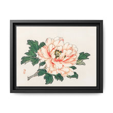 Pink rose by Kōno Bairei (1844-1895) - NOMADEN ART GALLERY