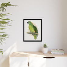 Lydon's Yellow-Naped Amazon | Vintage Parrot Wall Art Print