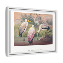 The African Wood Ibis from Zoological sketches (1861-1867) by Joseph Wolf and Philip Lutley Sclater