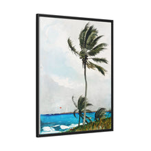 Palm Tree, Nassau (1898) by Winslow Homer