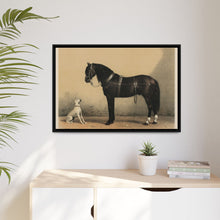 Orloffer (Orloff Horse) by Emil Volkers (1880) - An illustration of a black horse and a white dog - NOMADEN ART GALLERY