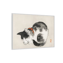 Sleeping cat by Kōno Bairei (1844-1895)