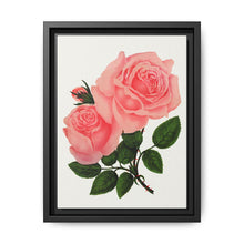 Pink Rose, La France Lithograph (1900) - NOMADEN ART GALLERY