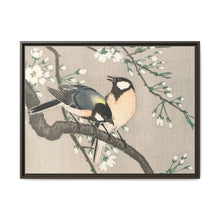 Tits on Cherry Branch (1900–1910) by Ohara Koson