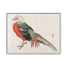 Japanese pheasant by Kōno Bairei (1844-1895) - NOMADEN ART GALLERY