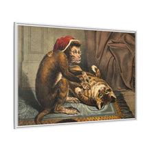 A monkey physician examining a cat patient for fleas. Coloured lithograph