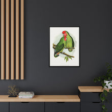Rosy-Faced Love-Bird (Agapornis roseicollis) colored wood-engraved plate by Alexander Francis Lydon.