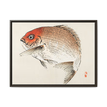 Tai (Red Seabream) fish by Kōno Bairei - NOMADEN ART GALLERY