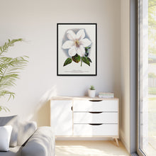 Clematis flower lithograph. Digitally enhanced from our own original 1900 edition plates of Botanical Specimen published by Rochester Lithographing