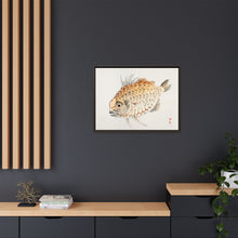 Fish by Kōno Bairei (1844-1895)