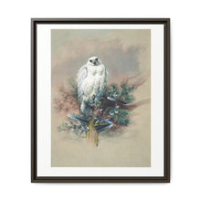The Greenland Falcon from Zoological sketches (1861-1867) by Joseph Wolf and Philip Lutley Sclater - NOMADEN ART GALLERY