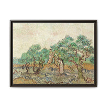 The Olive Orchard (1889) by Vincent van Gogh - Antique Framed Art Print - NOMADEN ART GALLERY