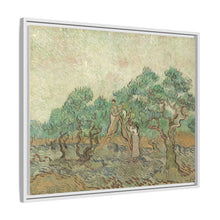 Vincent van Gogh's The Olive Orchard (1889) - NOMADEN ART GALLERY