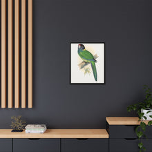 Lydon's Yellow-Naped Parrakeet | Vintage Bird Wall Art Print