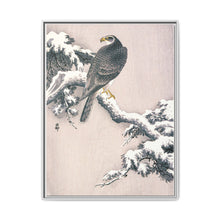 Goshawk on Snow-covered Pine Bough by Ohara Koson (1877–1945) - NOMADEN ART GALLERY